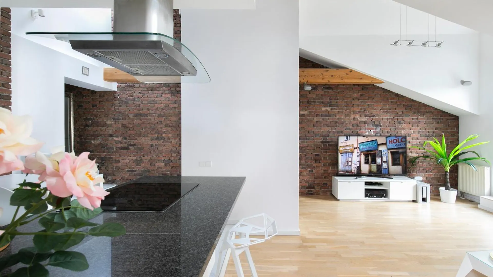 Rainbow Apartments 1 Premium Krakov